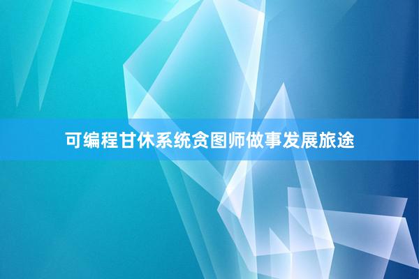 可编程甘休系统贪图师做事发展旅途