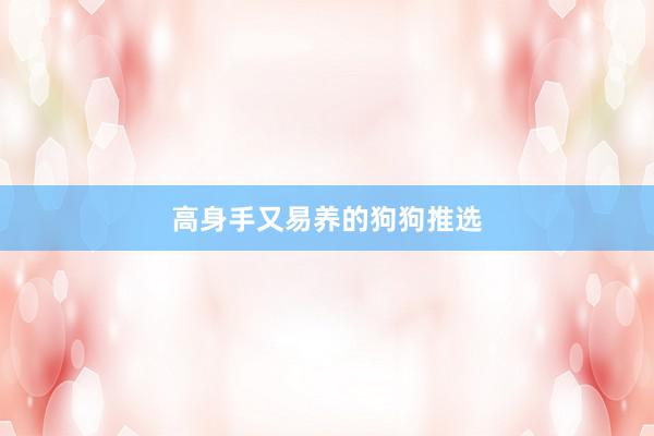 高身手又易养的狗狗推选